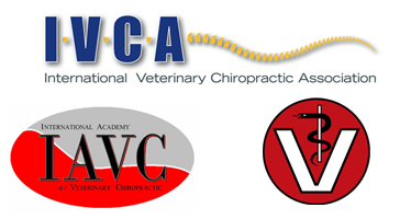 3 Logos der Tierarzt- und Chiropraktikverbände